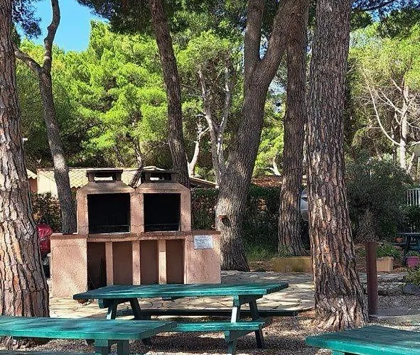 004 Ipanema Le Cap'tif *